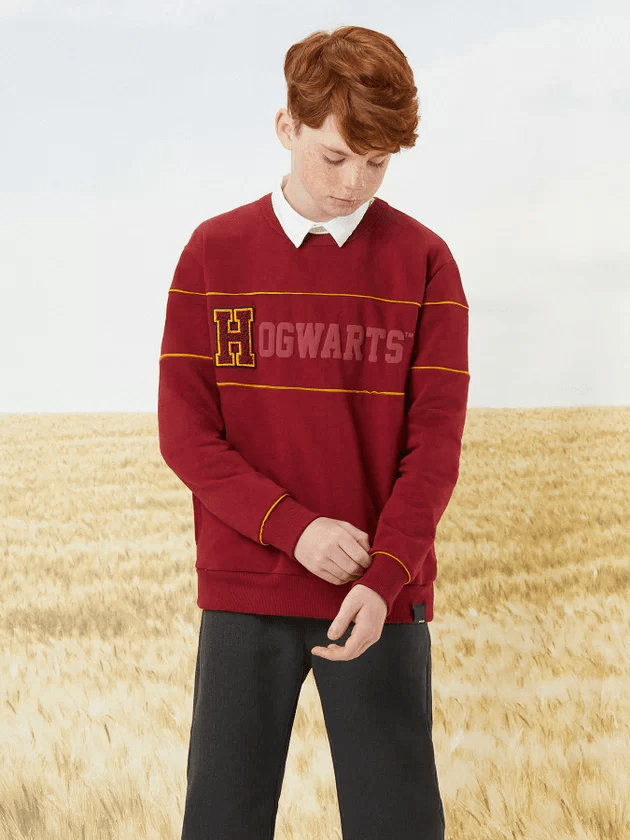 Blusa de frio store harry potter masculina